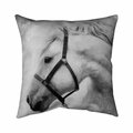 Fondo 20 x 20 in. Darius The Horse-Double Sided Print Indoor Pillow FO2794815